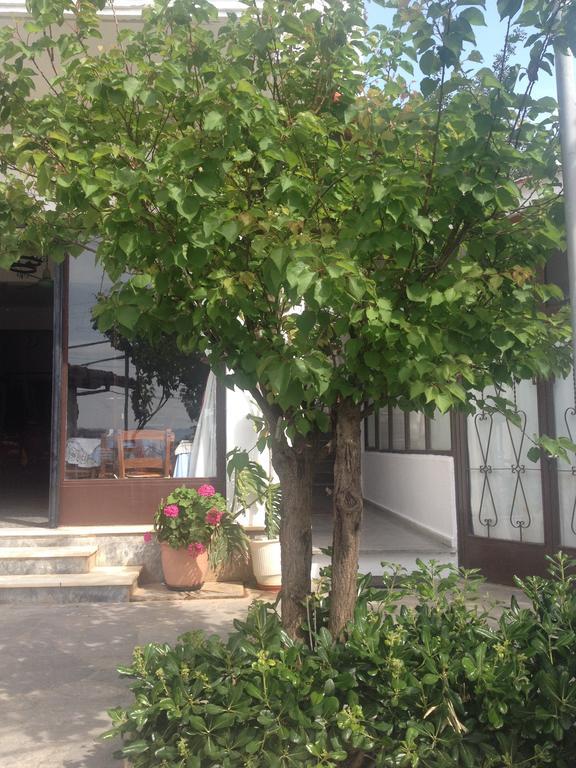 Dilina Guesthouse Агиос-Николаос Номер фото
